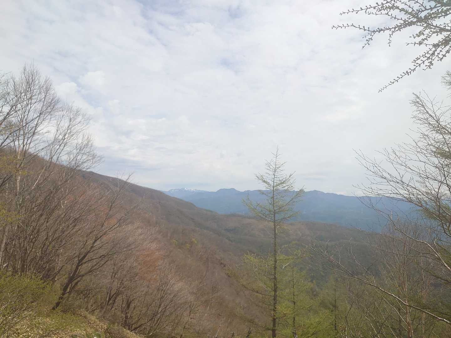 長七郎山 周回コースの写真