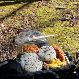 住居があった跡で平地が多いので早くも宿で作ってもらったお弁当をいただきます🍙
うまうま😋