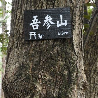 吾参山到着　ゴサンかな？
