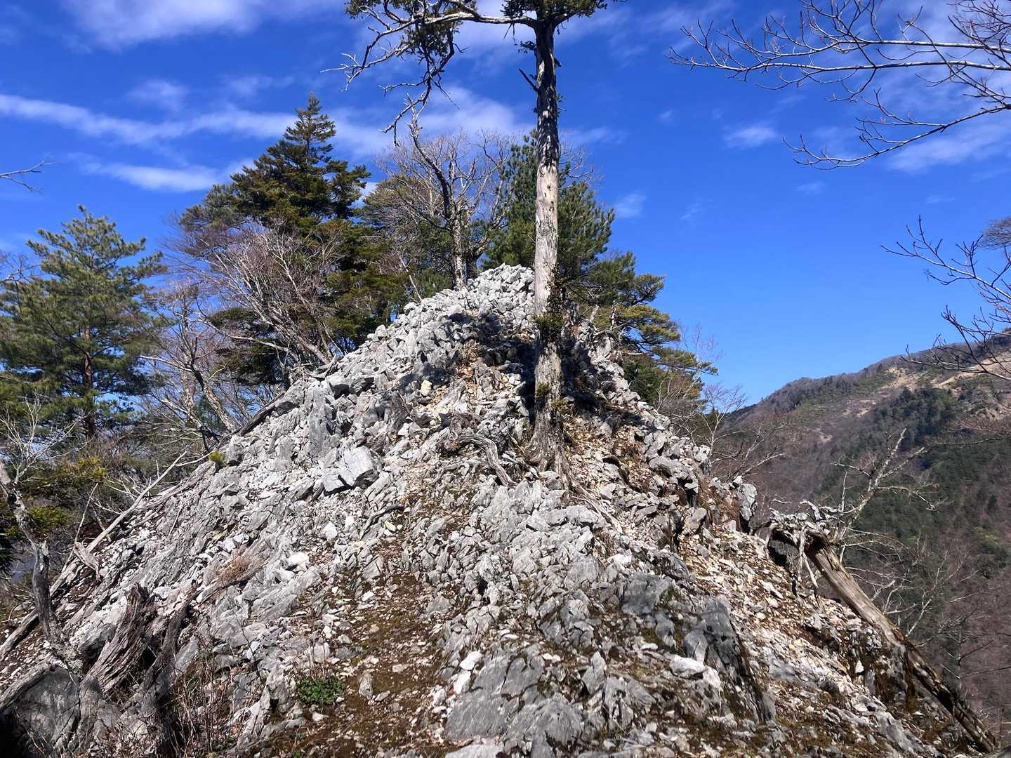 ようやく久蓮子岳山頂直下⛰️
この岩峰が落石の大元やね😓