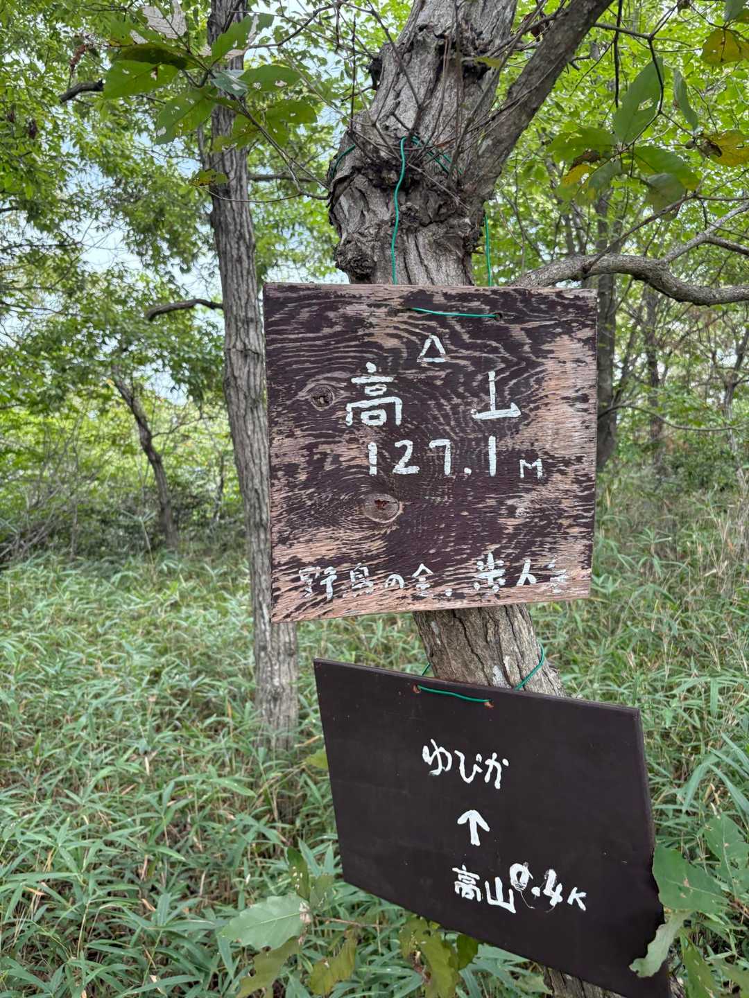 1つ目の山です。木がいい感じに傘になってくれてました。