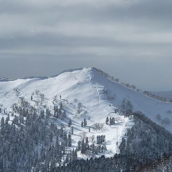 沙流岳ズーム
自分達のトレースが見えます✨