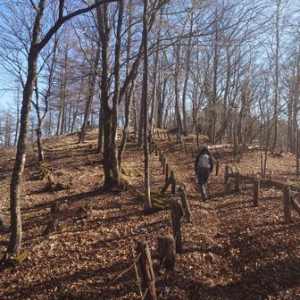 御前山までもう少し