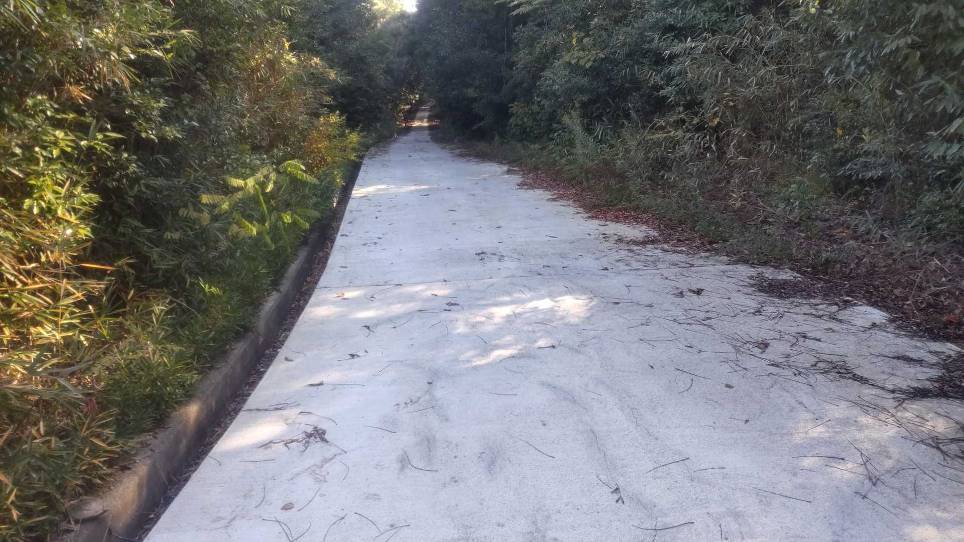 ちょっと戻って引続き舗装路をトコトコ👣