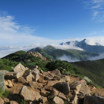 越中沢岳　二等三角点2591.50m 基準店名　栂山
室堂からのルート上初めての三角点