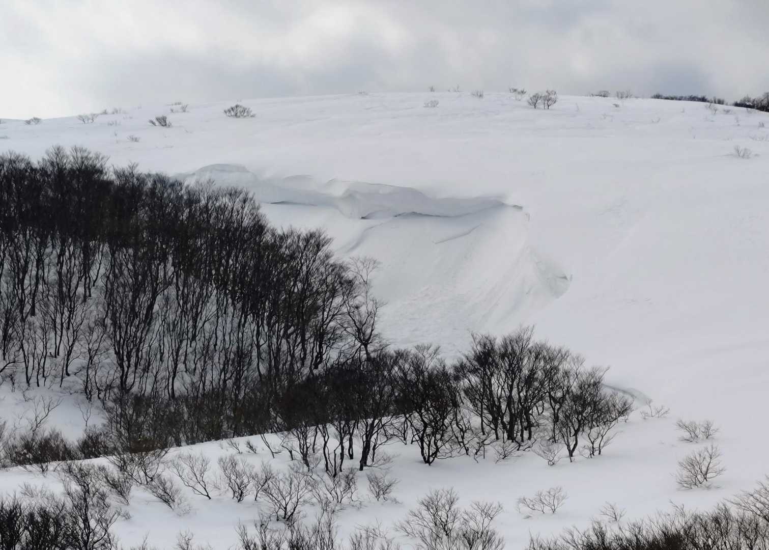 ふと目をやると、巨大雪庇が✨
久しぶりに見た👀
やっぱり積雪量が多いんだなぁ。