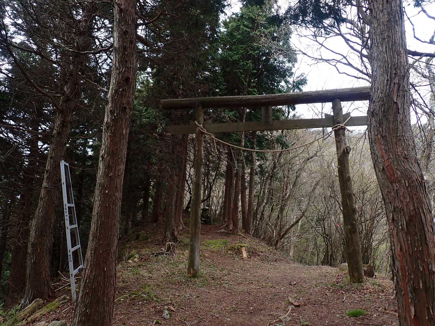 鋸山-七々木山-豊受山 往復コースの写真