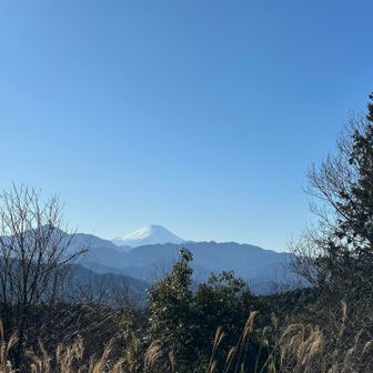ここから富士山🗻