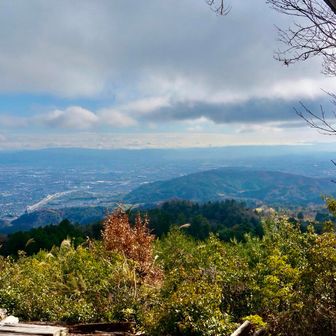 大沢山山頂の眺めは今日イチ最高でした👍
