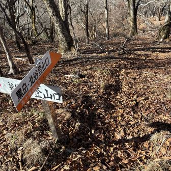 ここから黒岳と三尖へ