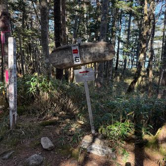 テーブルマウンテンと言うべき平な山頂の分岐を左へ👈真っ直ぐ👆行くと恵那神社⛩️のある前宮ルートへ行ってしまいます。