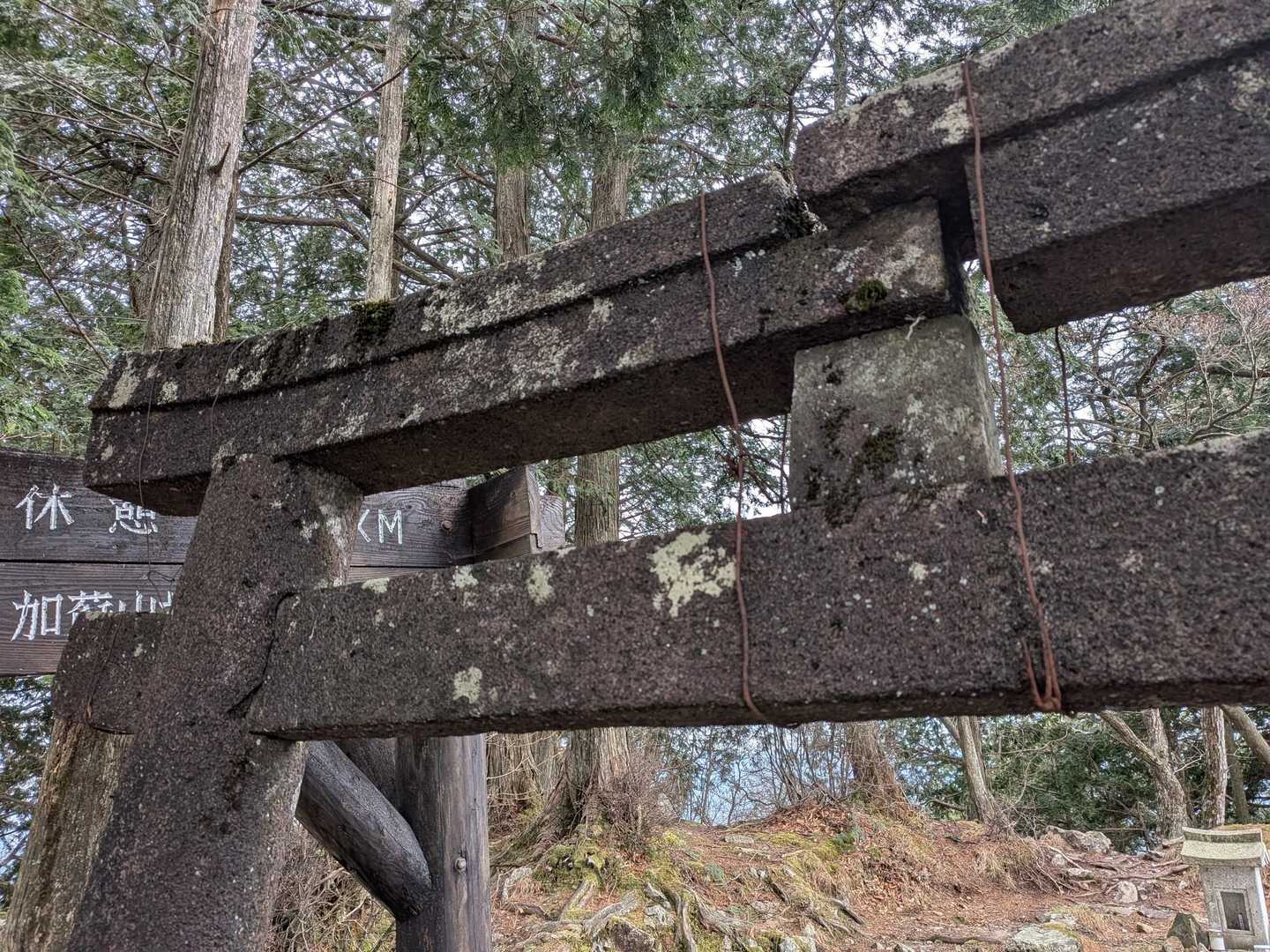 ですが、石もずれてきてて、針金で留めてあるだけなのは些か不安🫪
