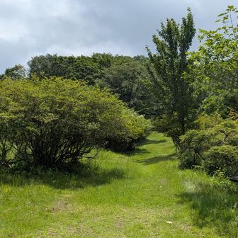 登山口
