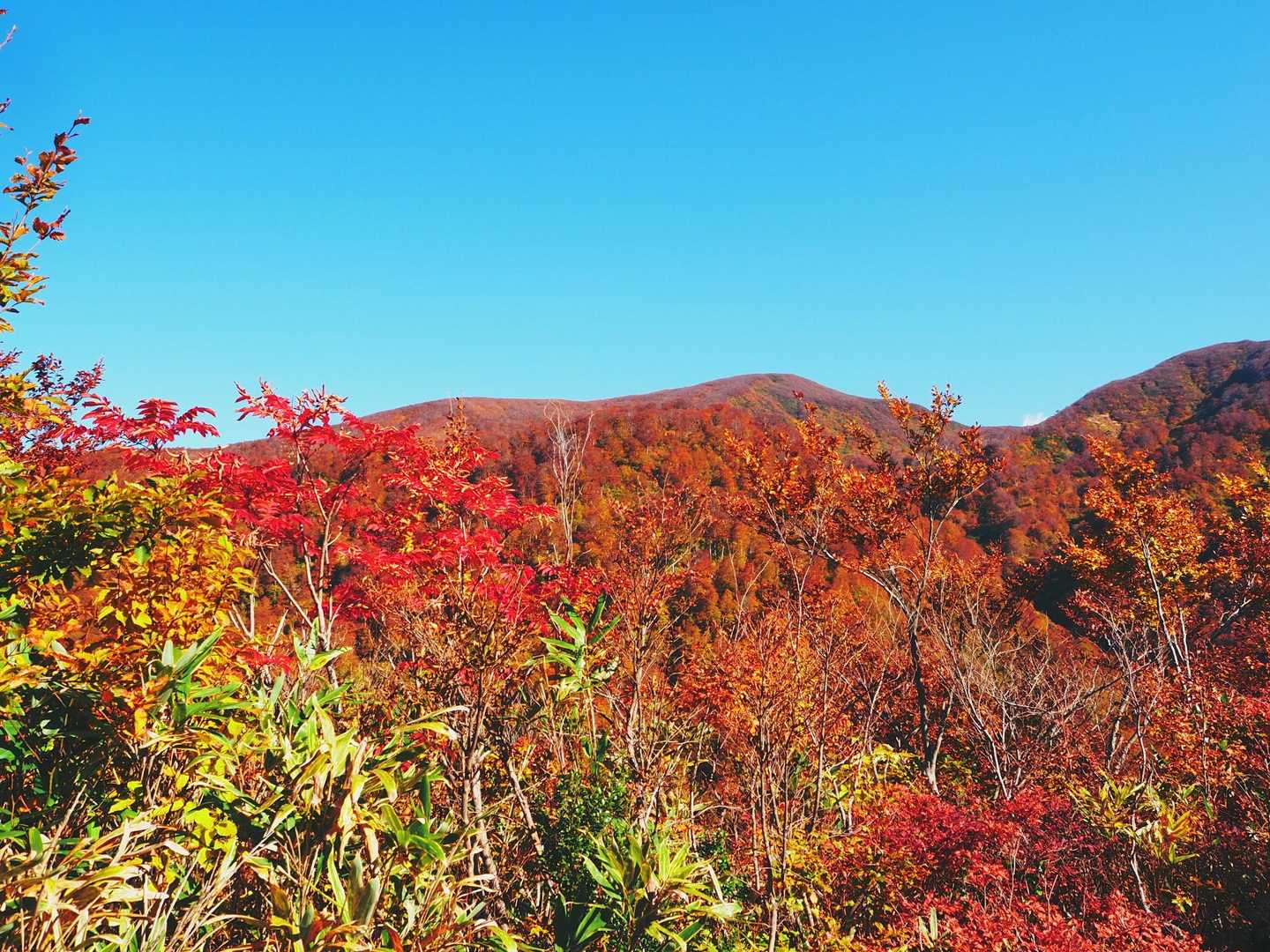 ようやく山頂らしき山容
