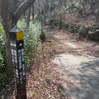 再度公園方向へ。