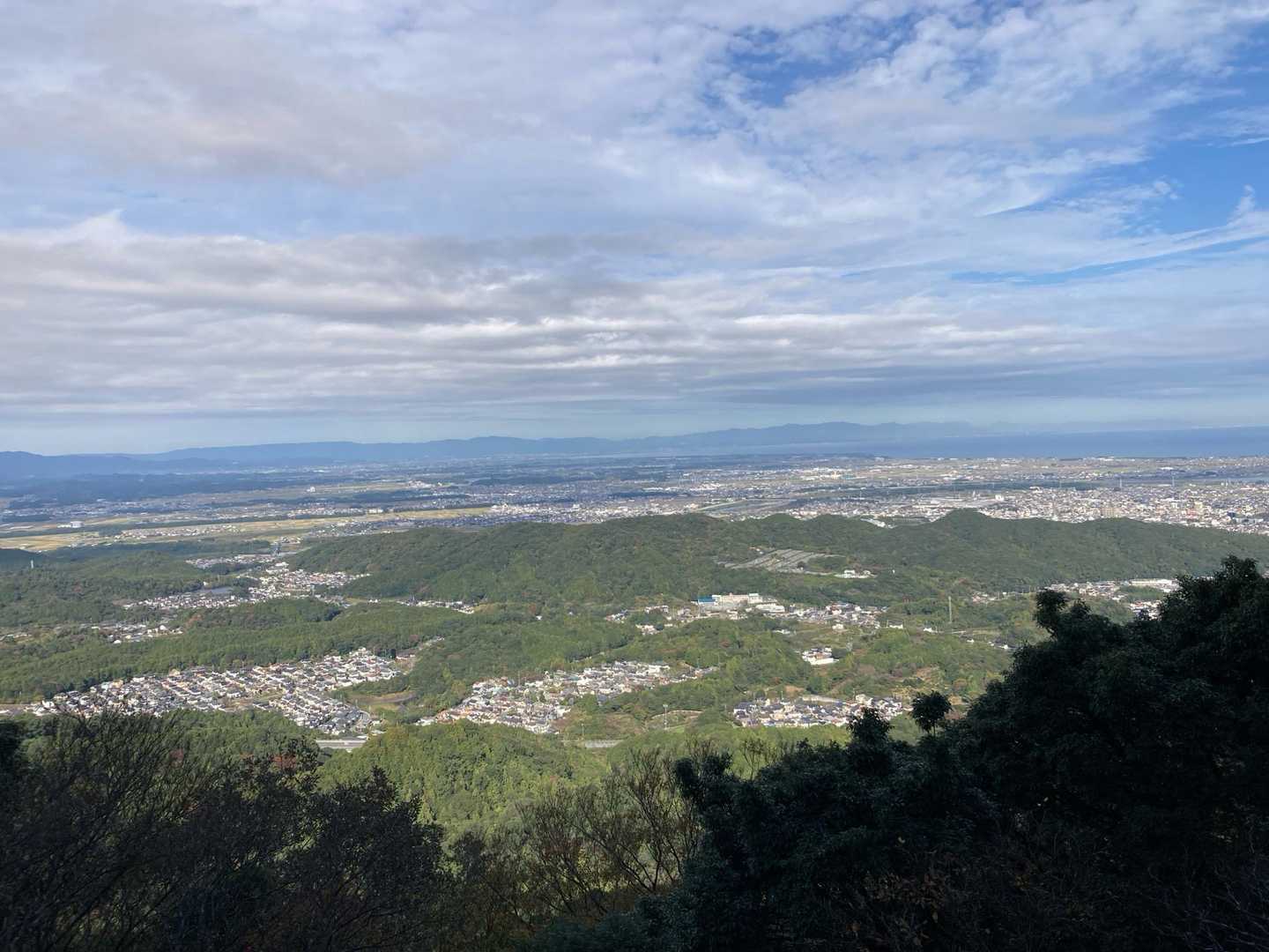 天狗岩とみられる場所には、大きな木が倒れていました…。