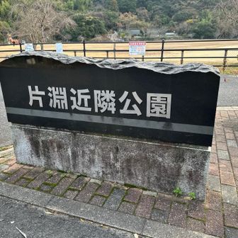片淵近隣公園に駐車🅿︎