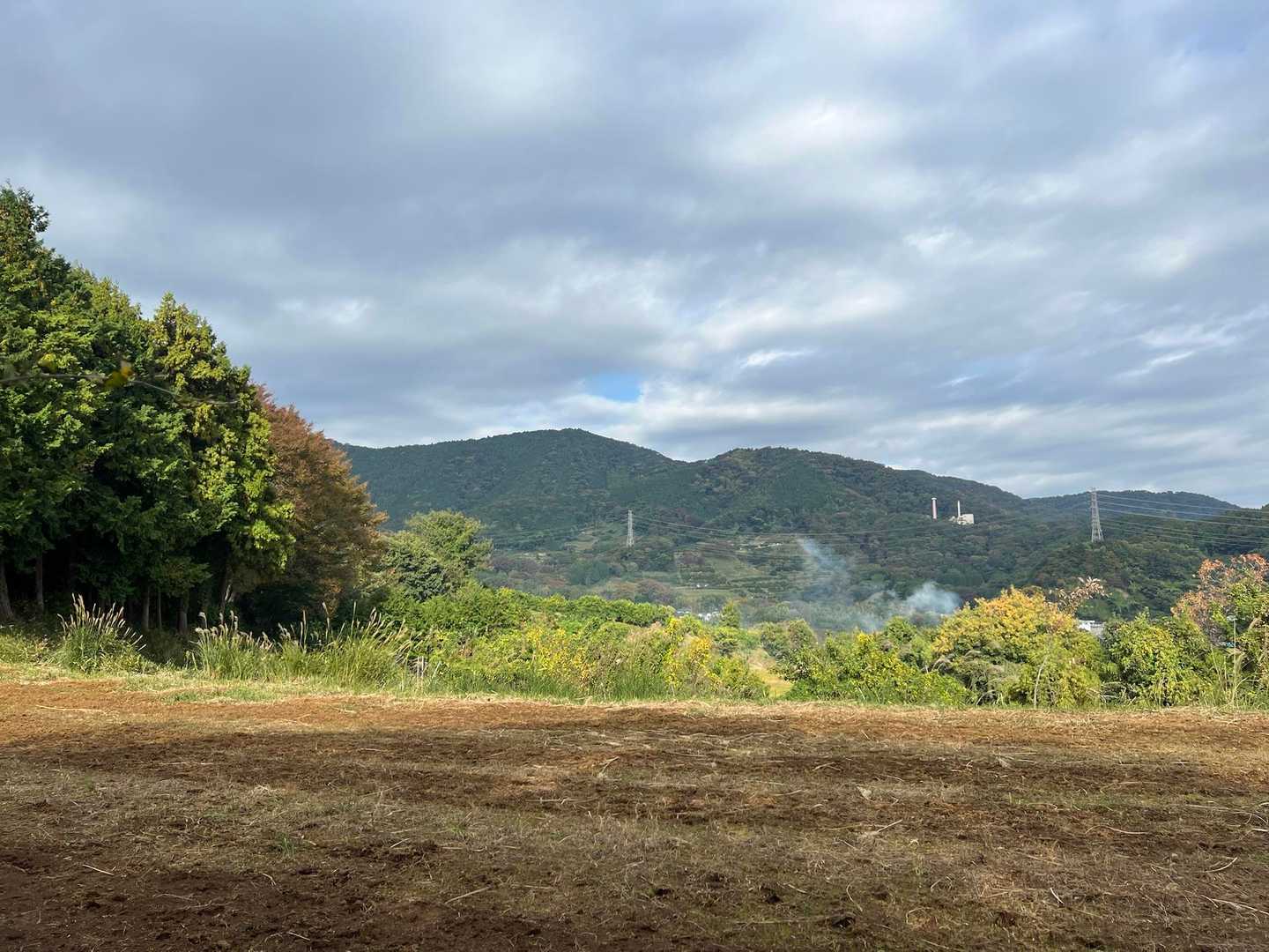 弘法山-吾妻山コースの写真