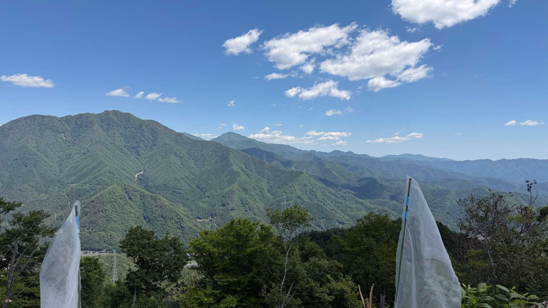 北側，手前が滝子山，奥は雁ヶ腹摺山でしょうか？