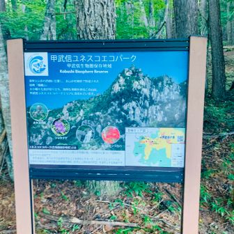 山荘前に登山口があったのに間違えて駐車場経由しました