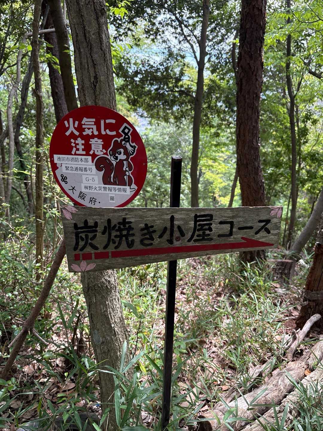 炭焼き小屋コースで下ります♪