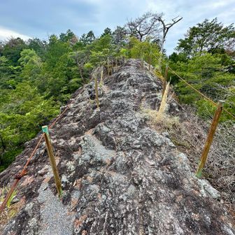 渡ってから振り返る