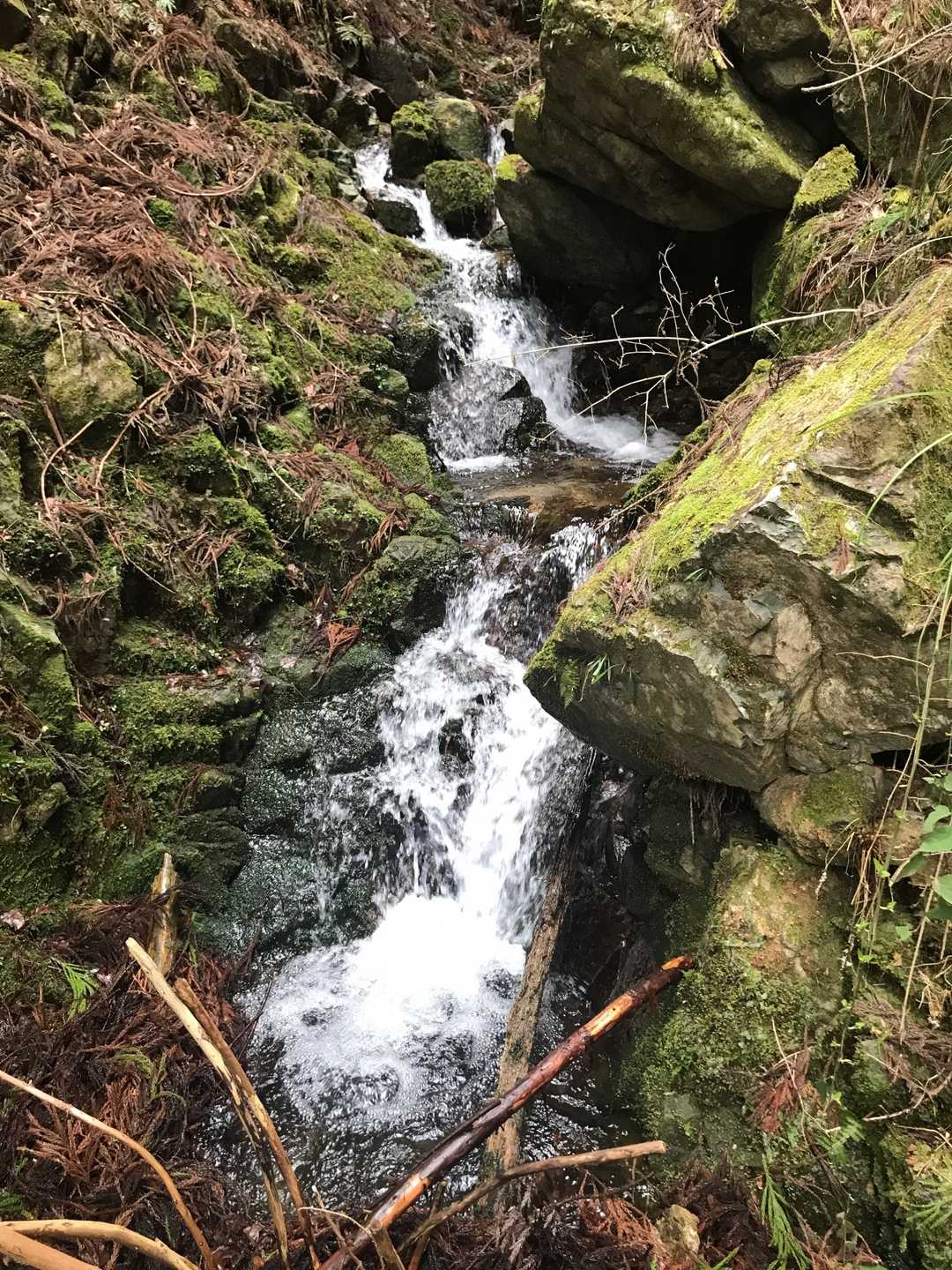 気持ちいいなあ…