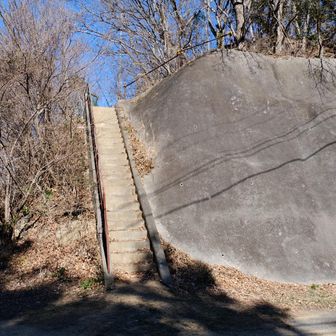 この階段を上がる