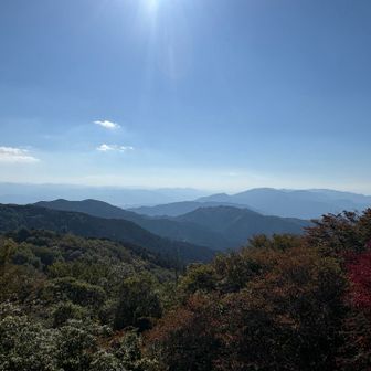 展望台より