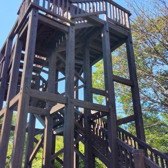 立派な展望台だが、残念ながら景色は良くない。