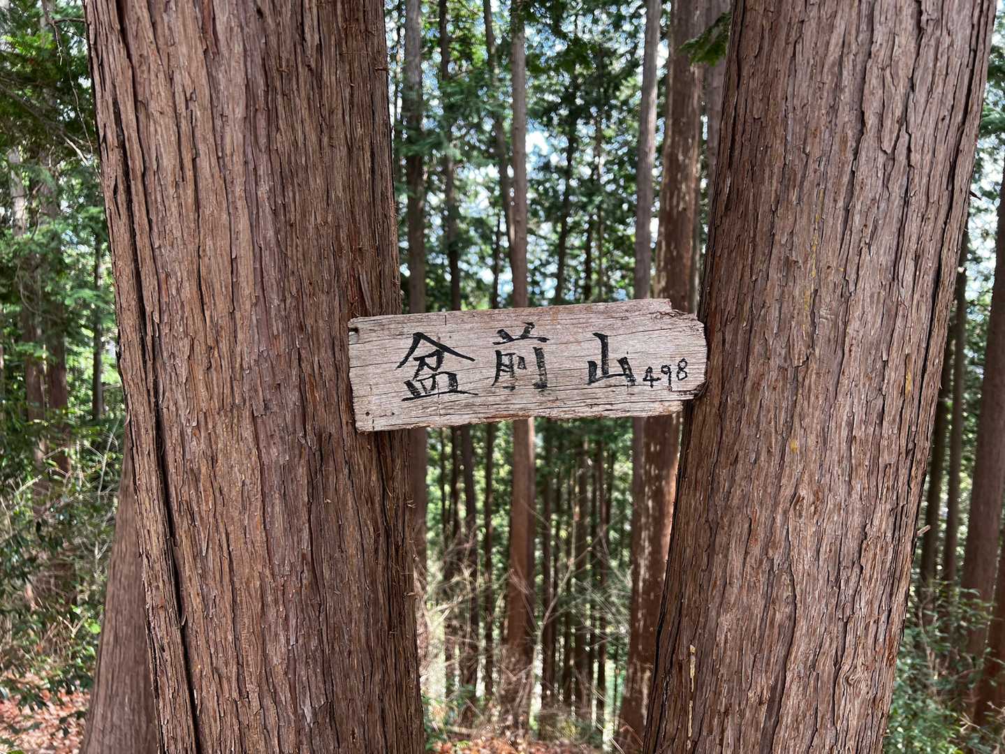 盆前山⛰東京里山100