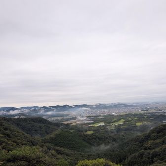 こんな感じ