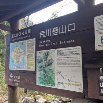 登山口に出て来ました。
自然の屋久杉Power頂いてきました✨🌱お疲れさまでした。