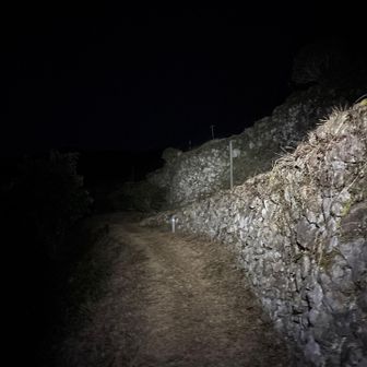 ここら辺は民家なので静かに通らせていただきます