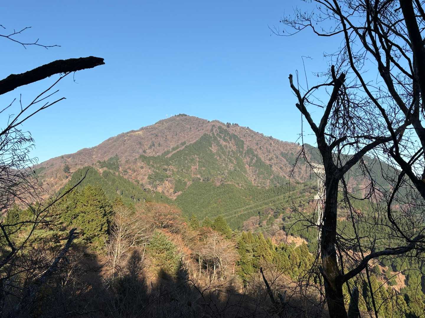 我らの大山こんにちは！