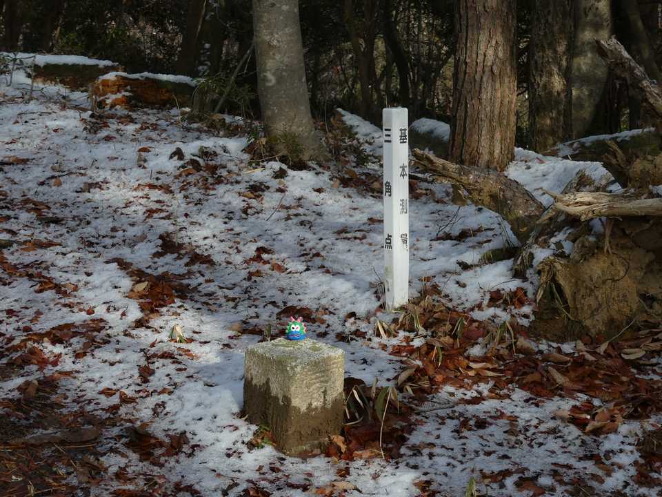 八世以山三角点