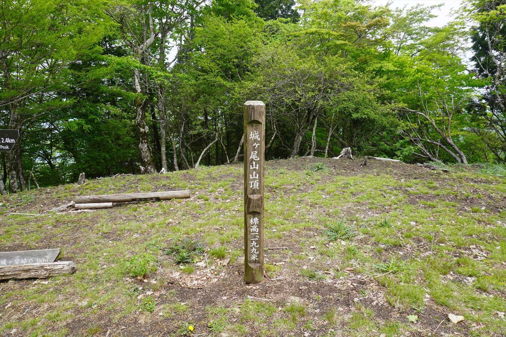 城ケ尾山の山頂は広い