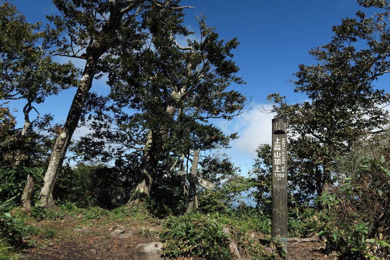 上蒜山