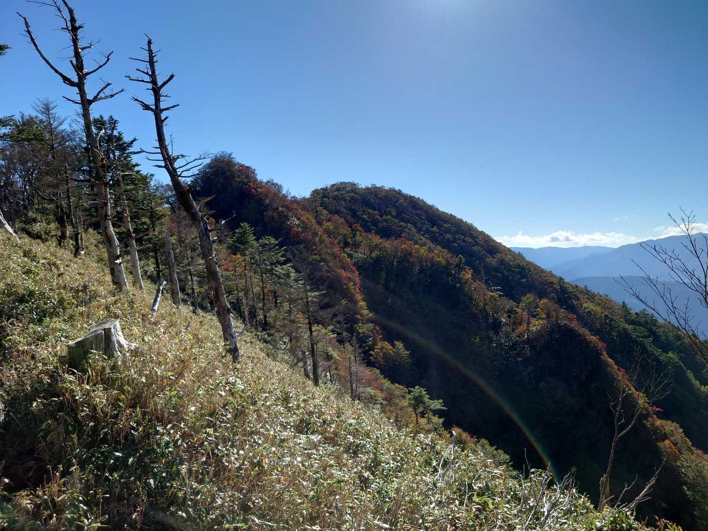 肉眼だともっと紅いんですよ