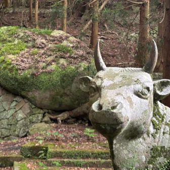 かわいい牛✨(石で できています)
その後ろの石垣も、すごい‼️