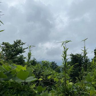 なにも見えませんが…😭