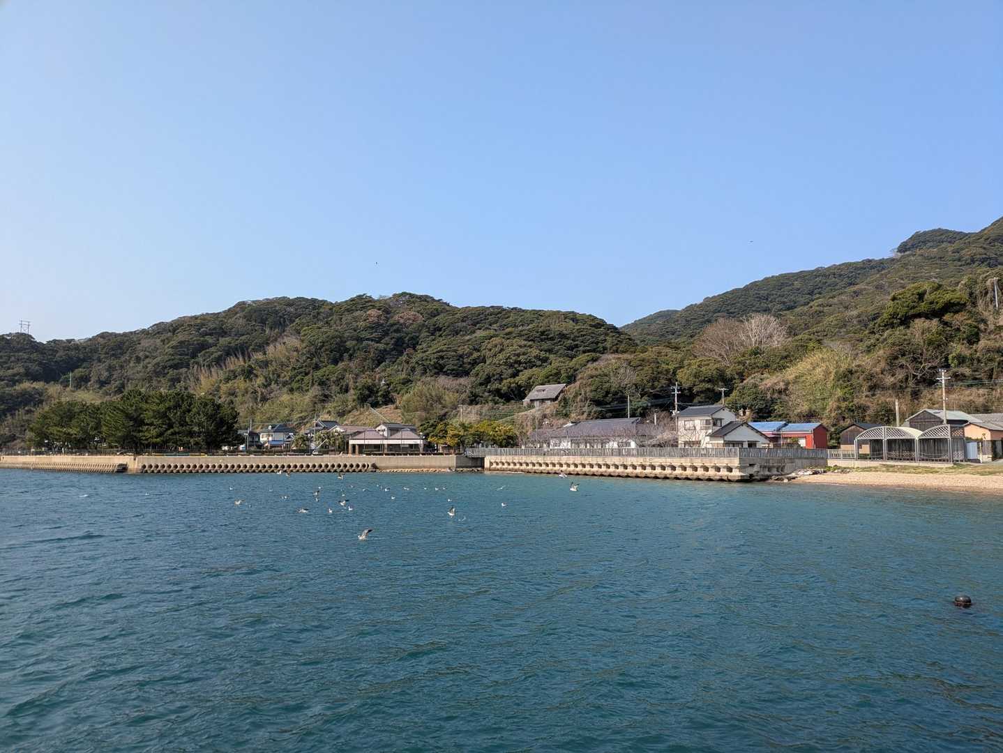 大島到着！
想像よりかなり広い