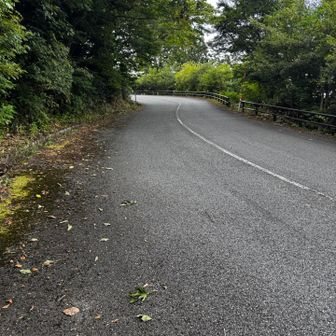 ロードに出た
あとは駐車場目指すのみ