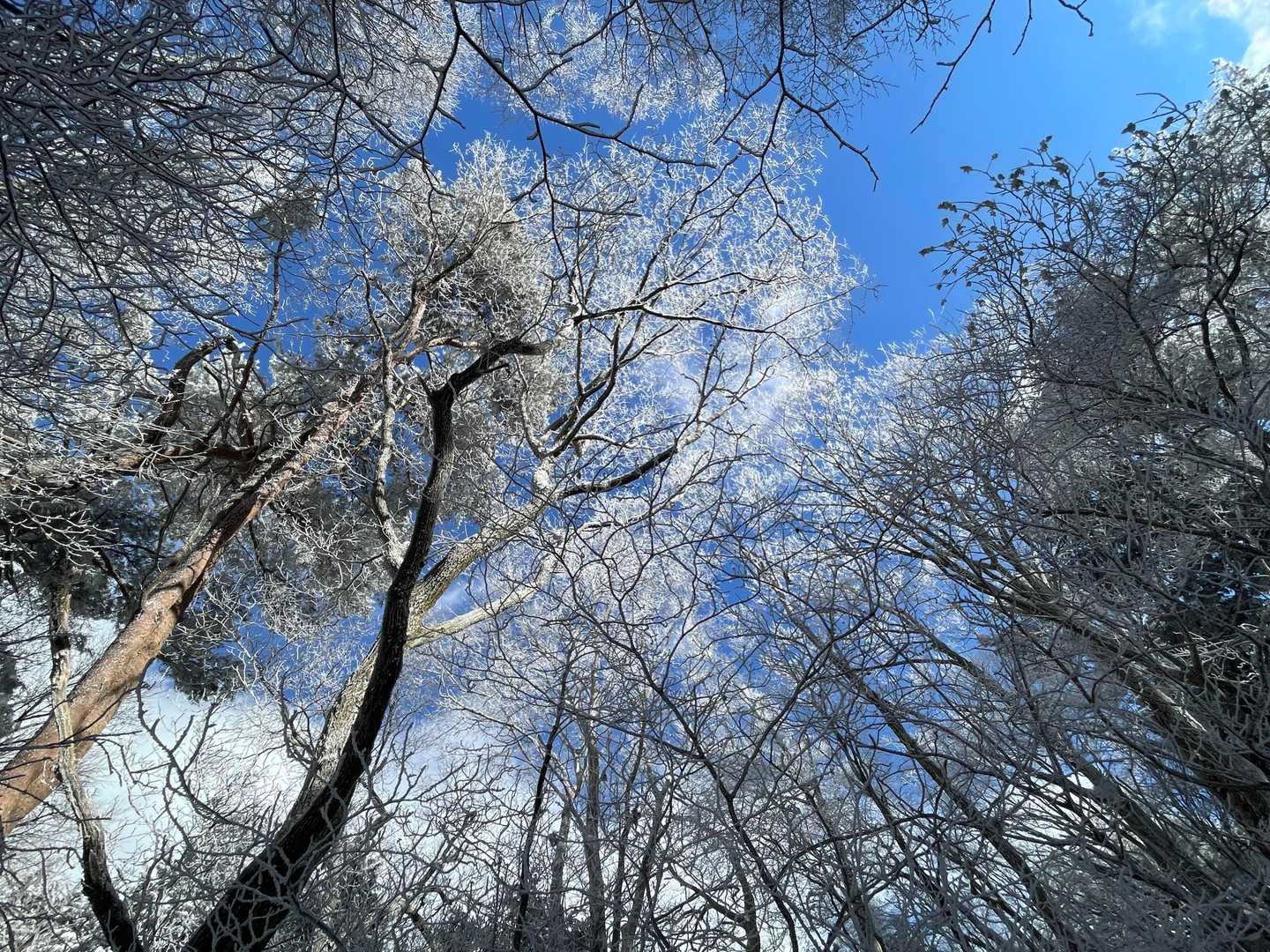 伊勢神峠-寧比曽岳 往復コースの写真