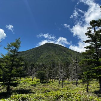 夏山って感じ！