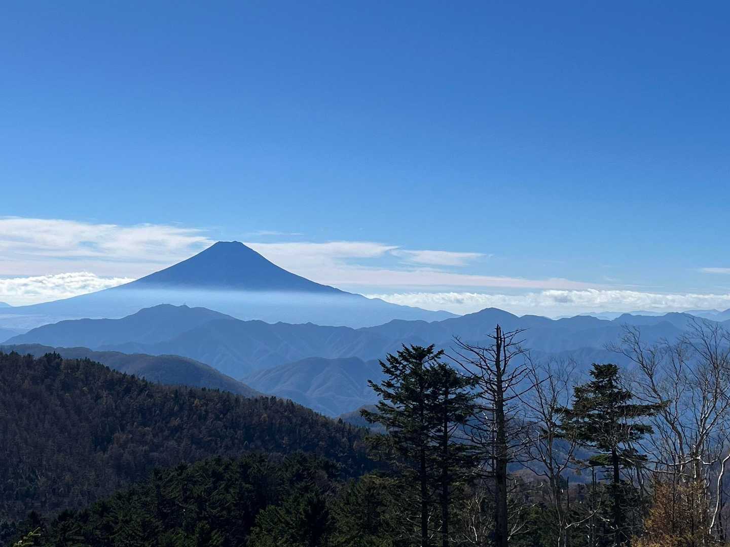 このような美しい景色に見惚れ道の間違いに気付かず😑