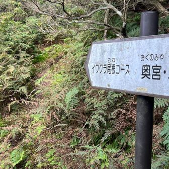 さて、イワクラ尾根に行きますか❗️😤
