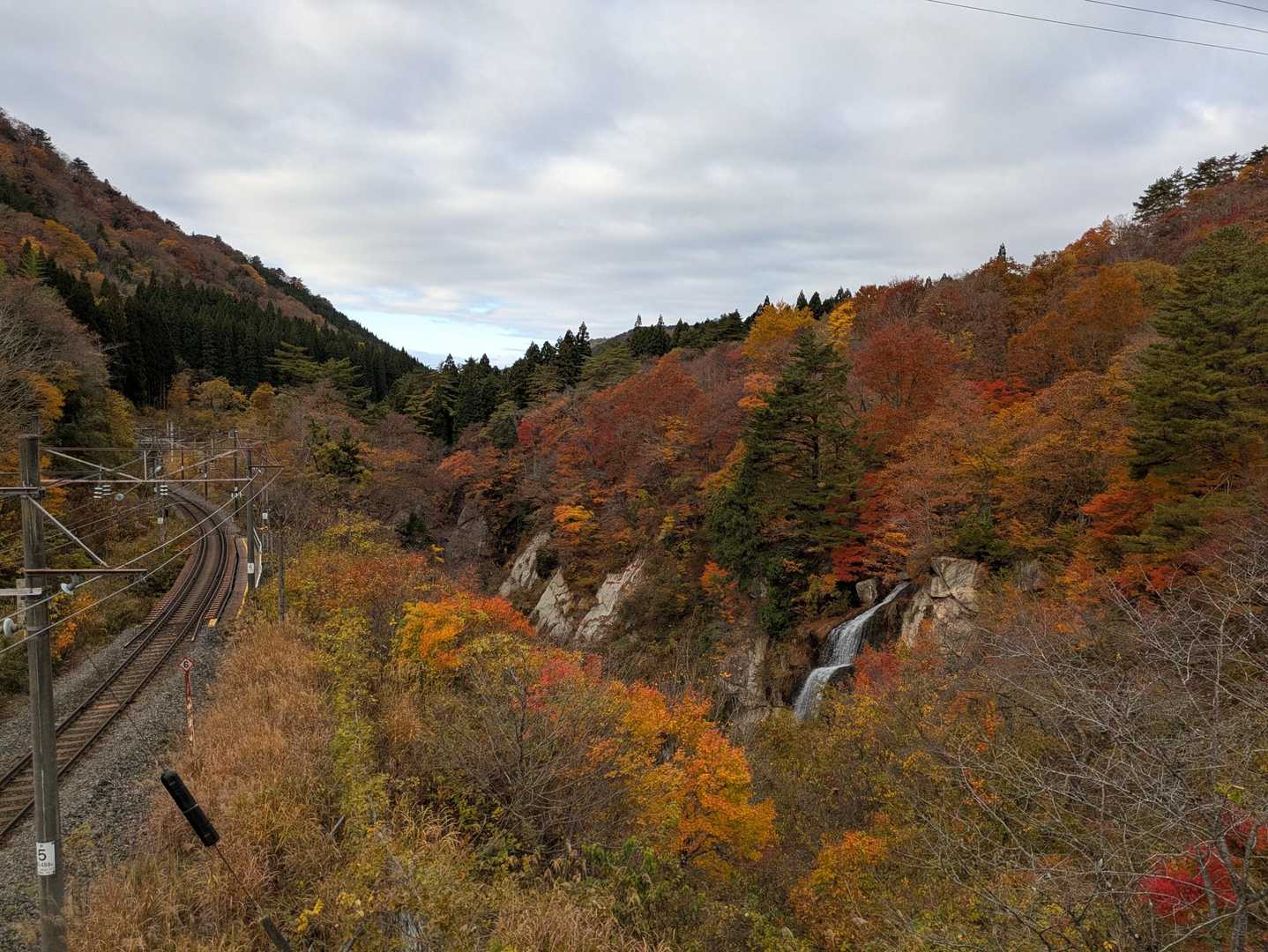 面白山 カモシカコース〜紅葉川 周回コースの写真