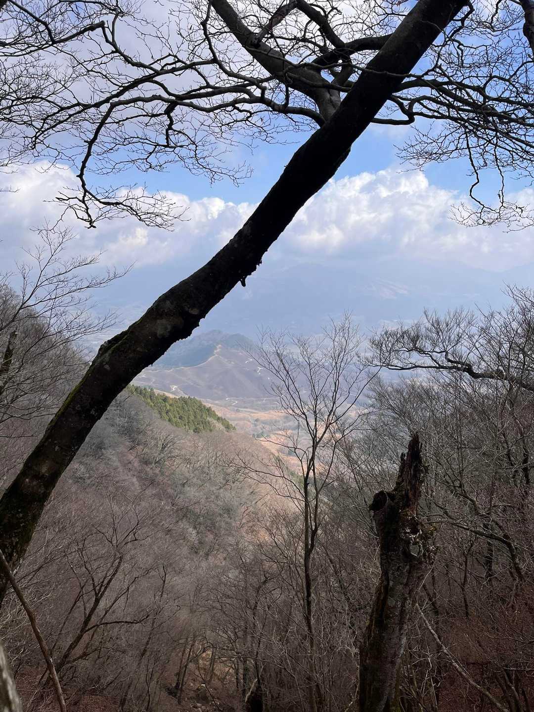 ほぼ樹林帯ですが所々でチラッと眺めも楽しめます😊