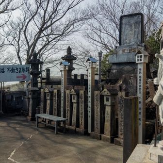 寄進者の石柱金属柱がずらり
相当な信仰を集めていることが窺える密度